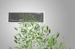 眼睛干眼睛痛怎么办?