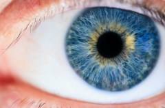 万万没想到！视觉信息占用了大脑65%的工