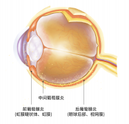 过年眼红别硬扛！很多人以为是“上火”，其实可能是致
