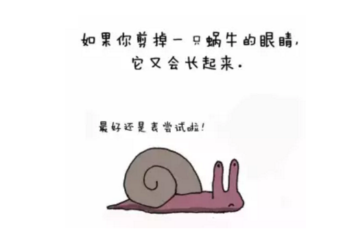 蜗牛的眼睛