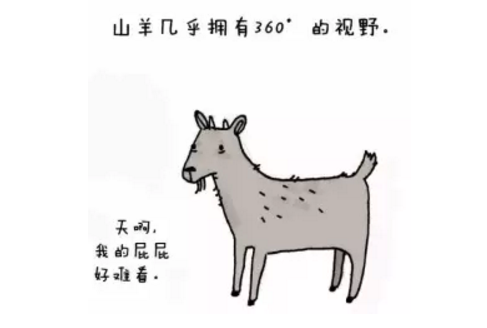 山羊的视野