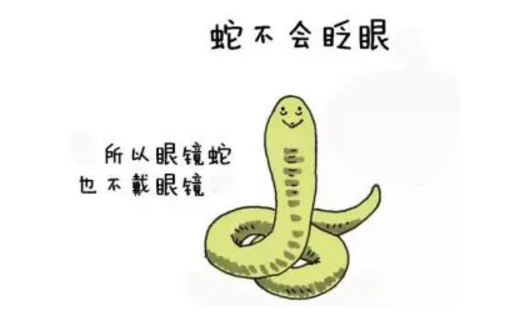 蛇不会眨眼