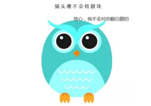猫头鹰的视力
