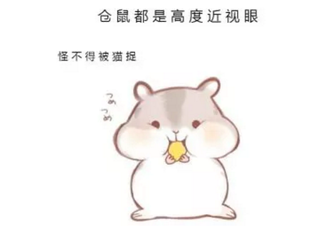 仓鼠高度近视