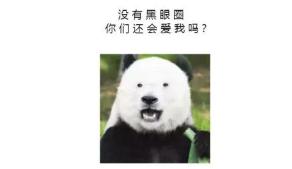 熊猫的黑眼圈