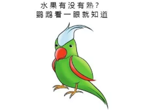 鹦鹉