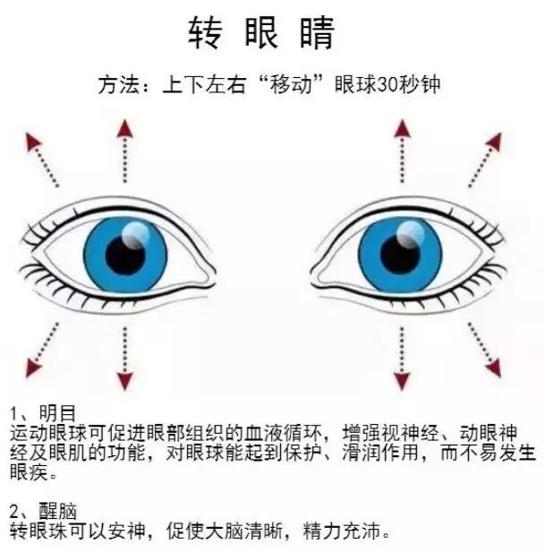 转动