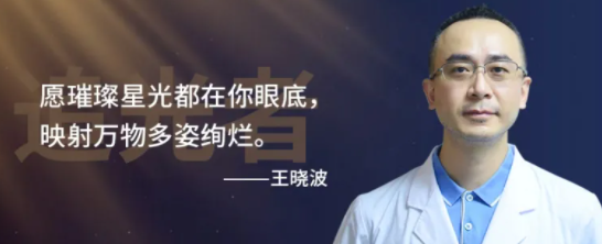 王晓波主任
