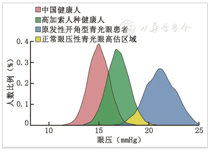 王玉宏主任