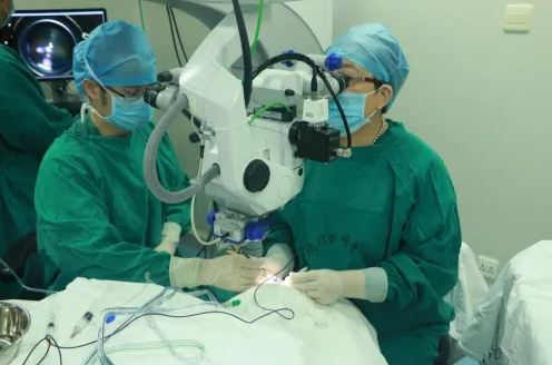 早产儿视网膜病变